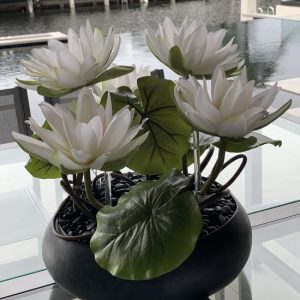 Tropical Florals